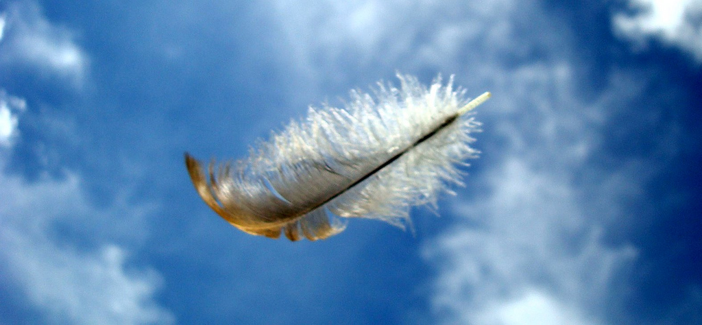 white feather seen in air against blue sky