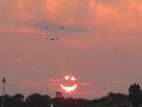 smiling-birds